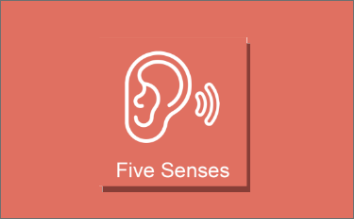 Screenshot of the Five Senses video