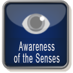 Awareness of the Senses