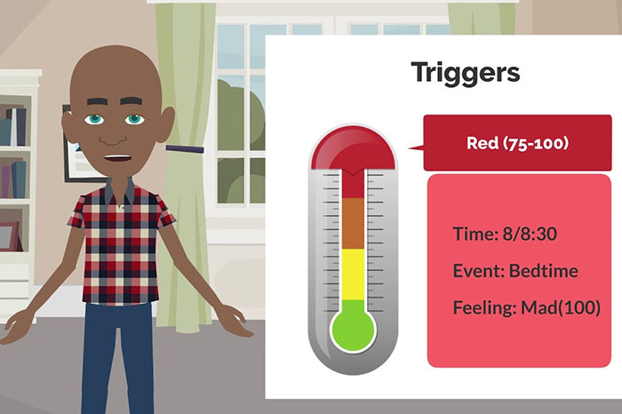 Feeling Thermometer Video